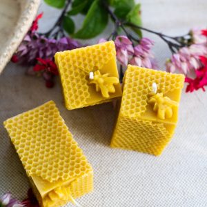 Bougies bloc 120g à la cire d'abeilles